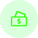 Annual Network Revenue